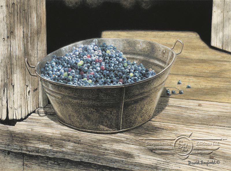 Galvanized Pail, Styers Blueberry Farm, Blueberries, Old Smokehouse, Antique Rustic Wood, Bucket
