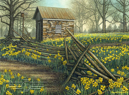 American Cancer Society Fundraiser, Split Rail Fence, Daffodils, Birdhouse, Stone Springhouse, Trees, Spring, Sunshine